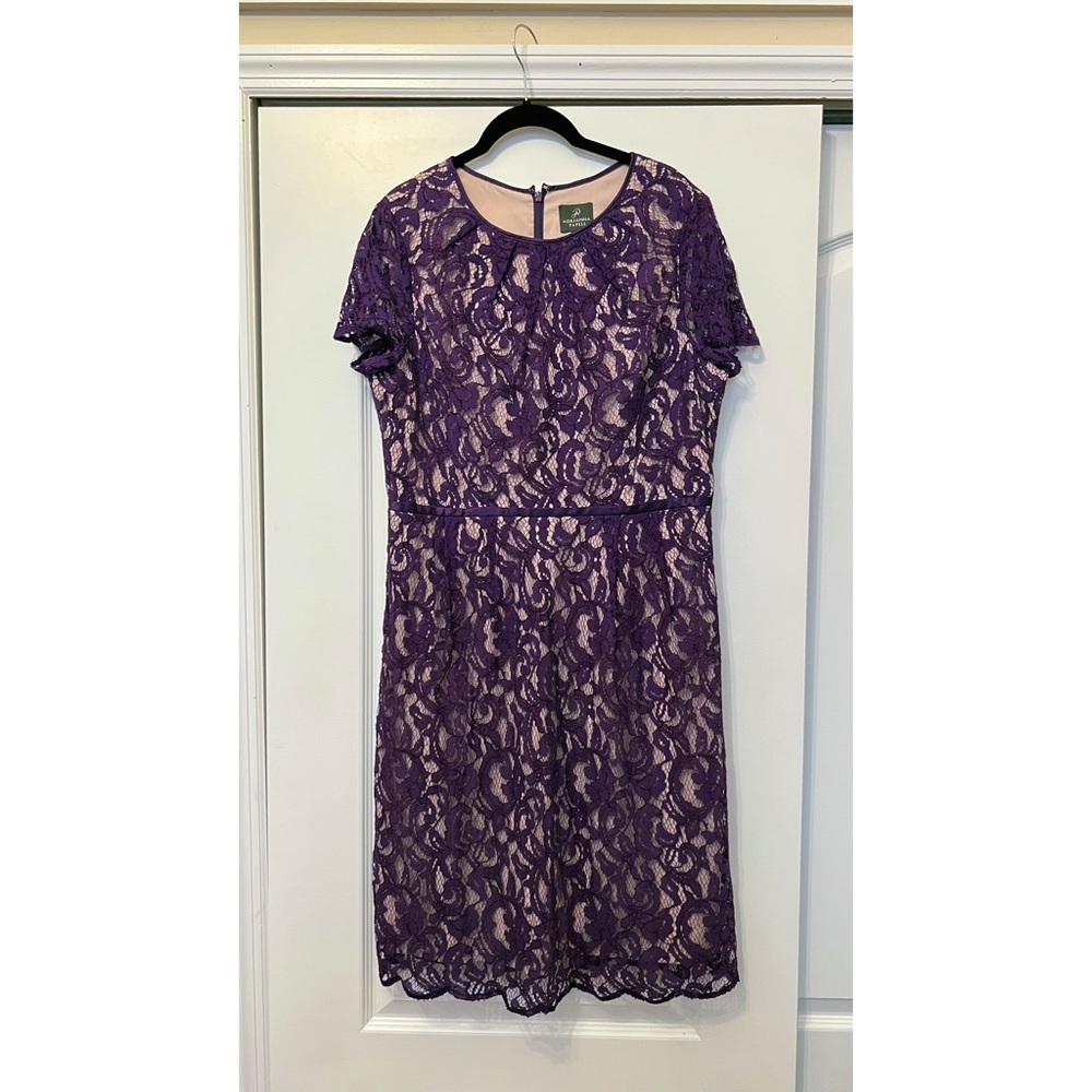Adrianna Papell Purple Scalloped Lace Dress size 16